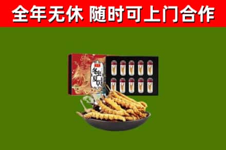 汉南区回收冬虫夏草价格